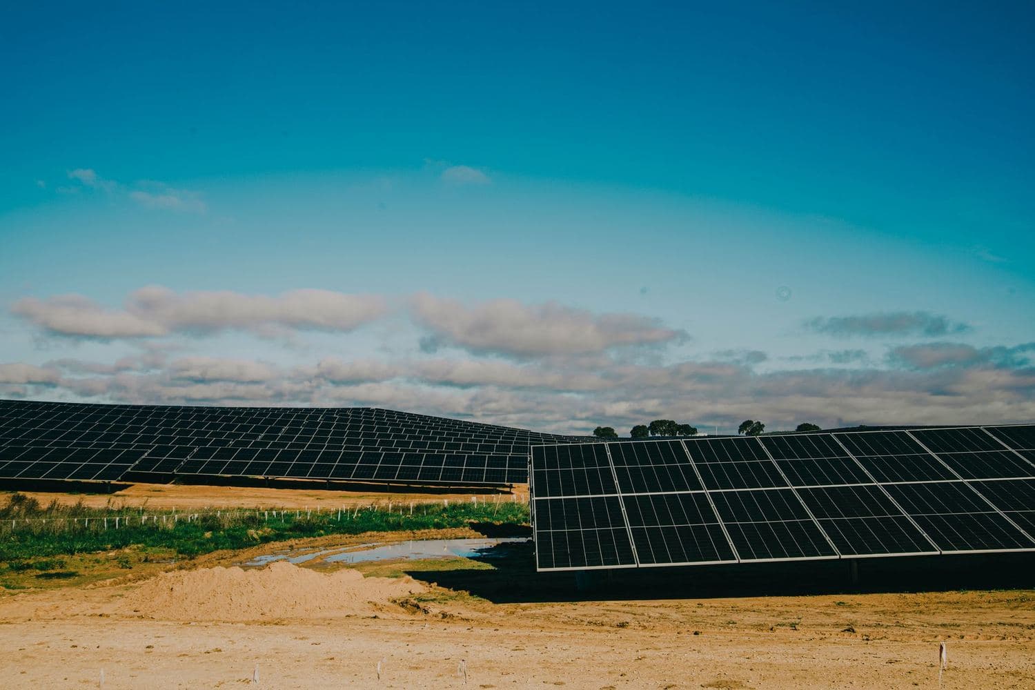 Champ de panneaux solaires photovoltaïques
