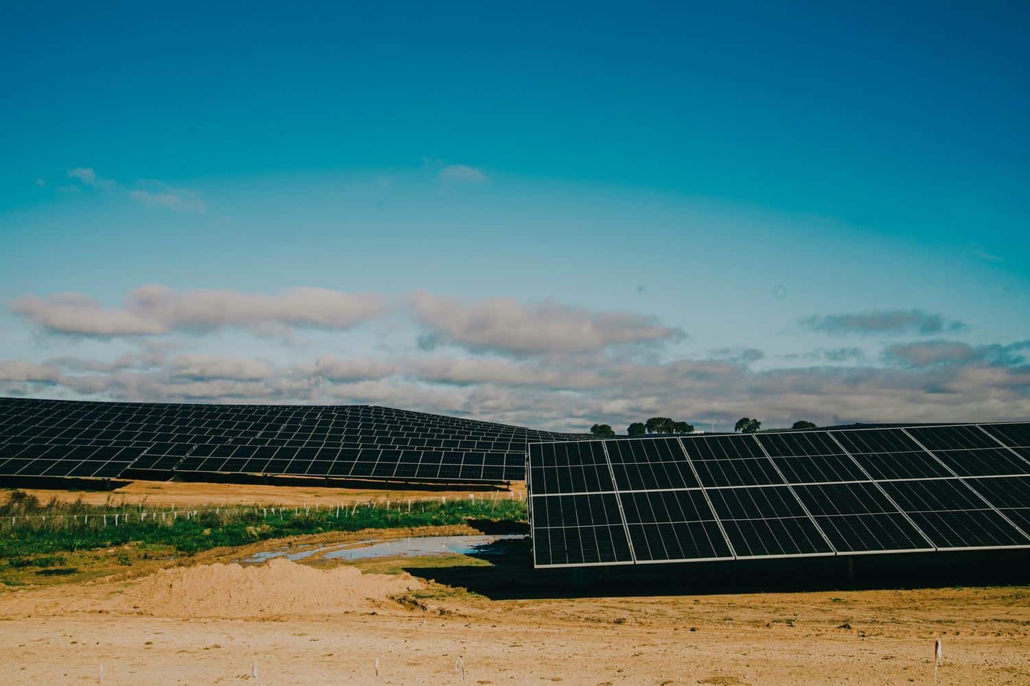 Champ de panneaux solaires photovoltaïques